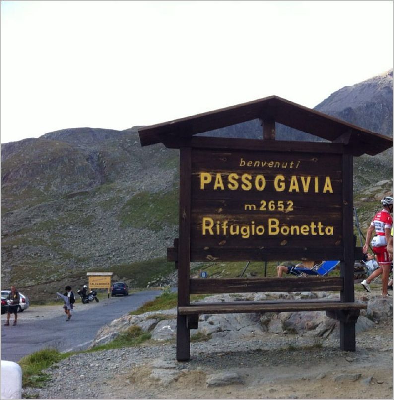 Gavia (10)